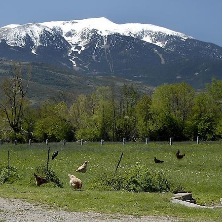 Mas Mallol Puigcerdà Exteriér fotografie