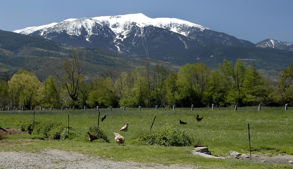 Mas Mallol Puigcerdà Exteriér fotografie